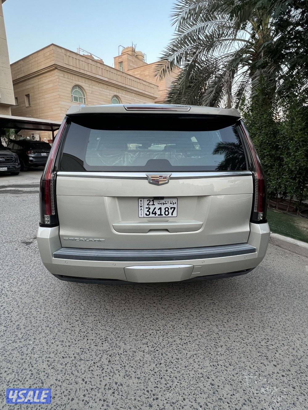 بلاتنيوم صبغ وكاله شرط الفحص4