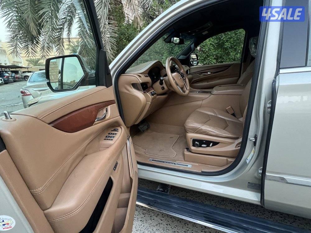 بلاتنيوم صبغ وكاله شرط الفحص7