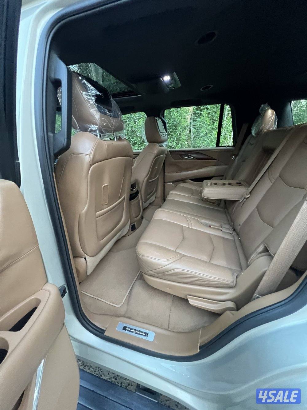 بلاتنيوم صبغ وكاله شرط الفحص8