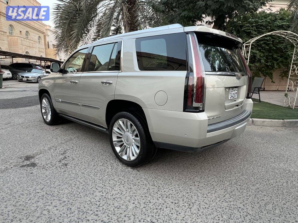 بلاتنيوم صبغ وكاله شرط الفحص3