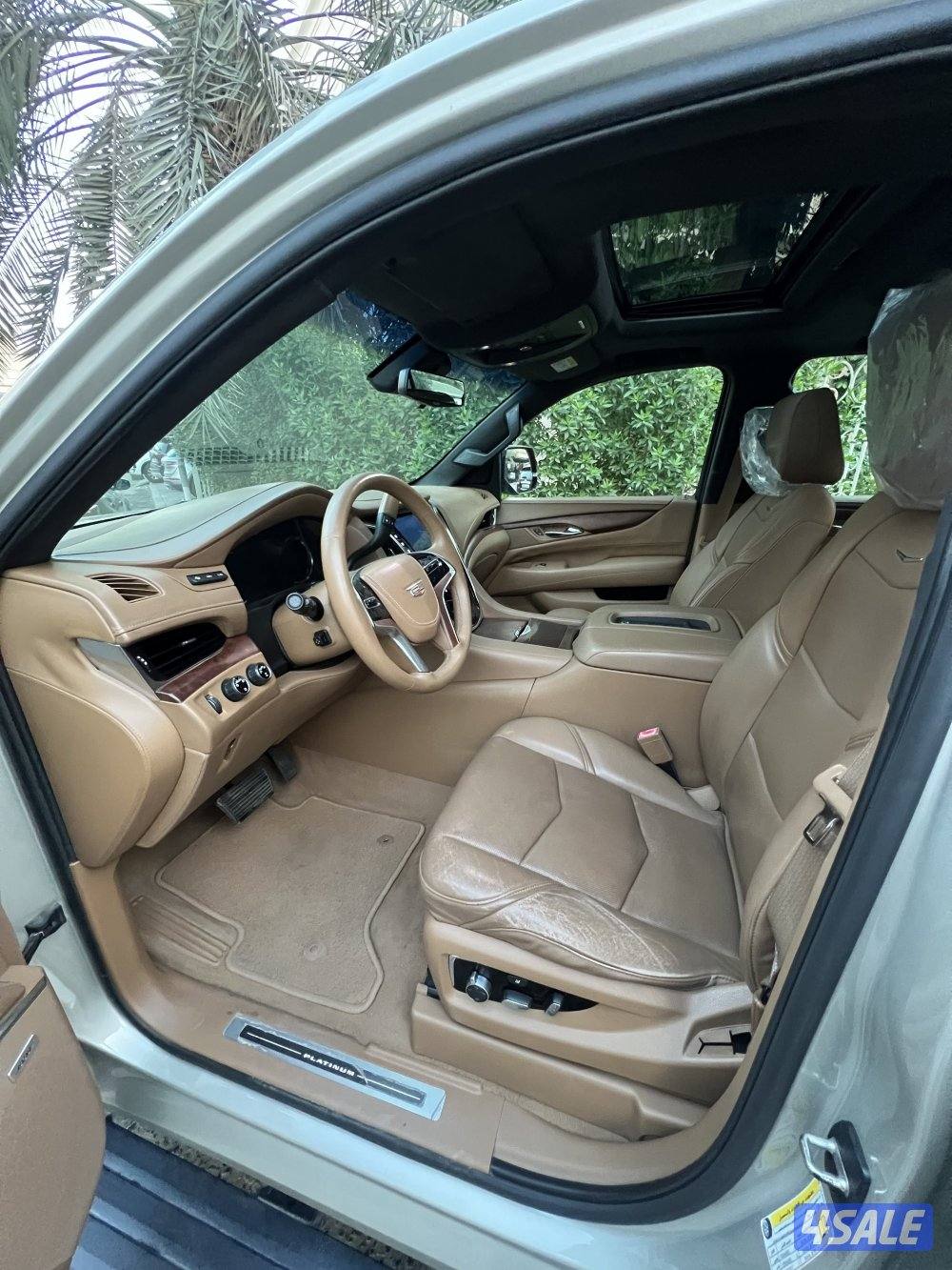 بلاتنيوم صبغ وكاله شرط الفحص9