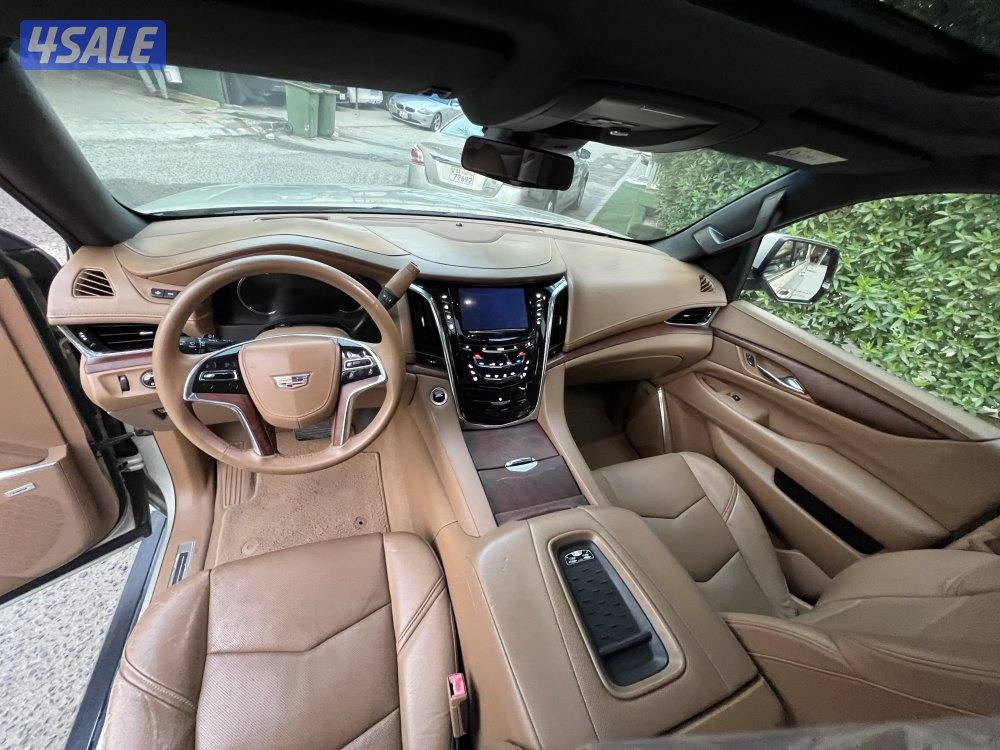 بلاتنيوم صبغ وكاله شرط الفحص10