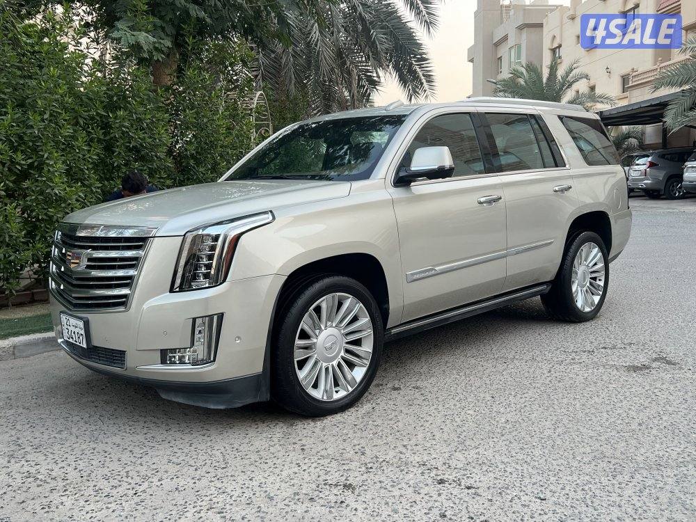 بلاتنيوم صبغ وكاله شرط الفحص0