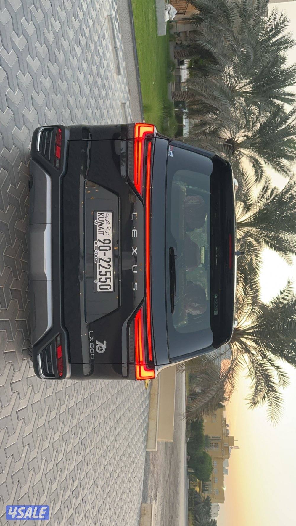 للييع جيب لكسز LX6004