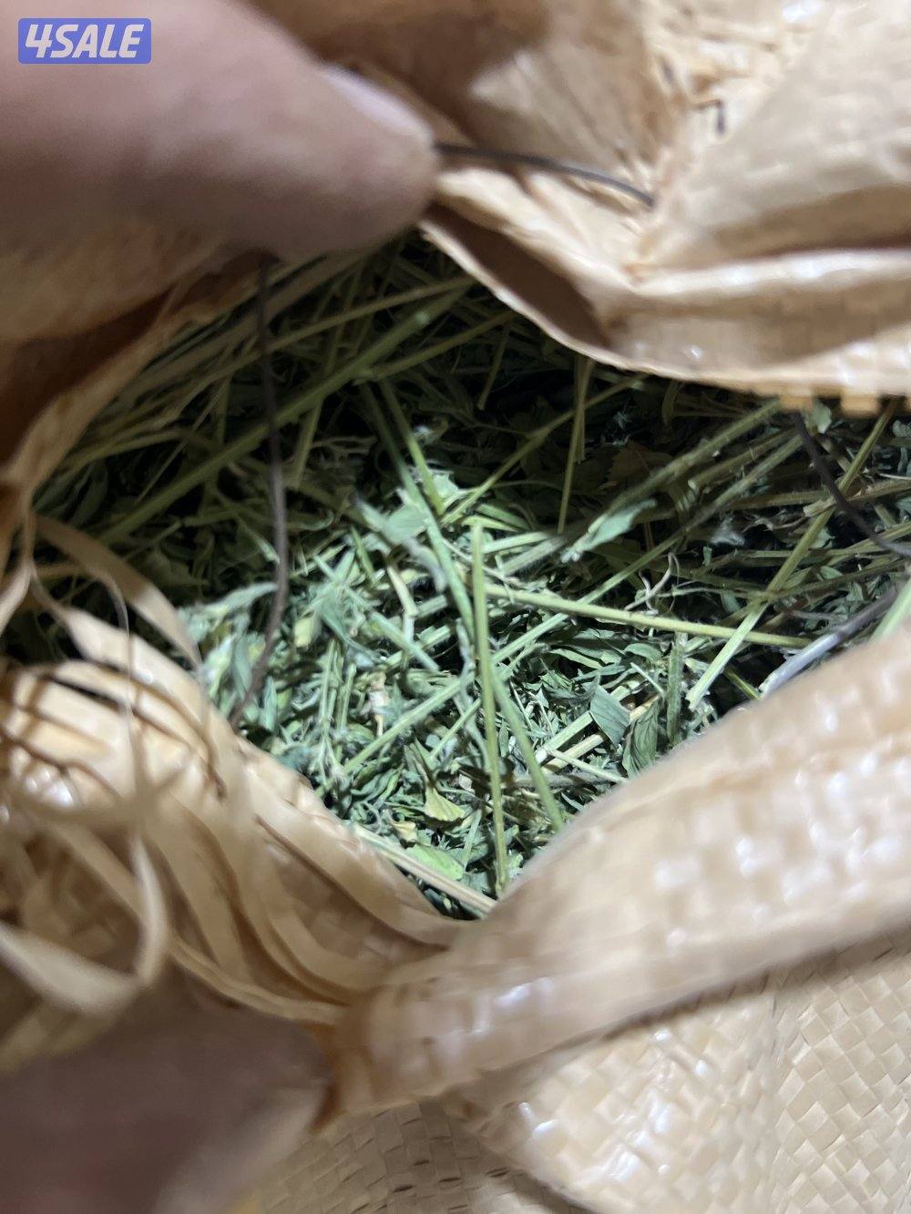 خياش برسيم ناشف1