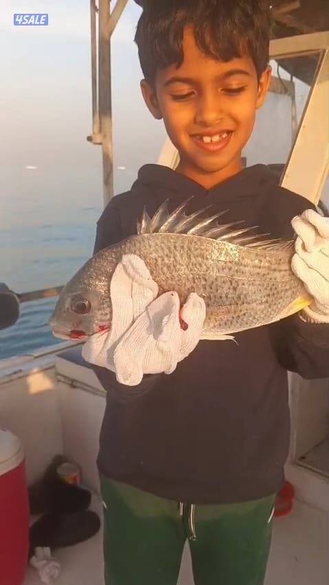 ايجار قوارب صيد حداق ايجار قارب رحلات بحرية2