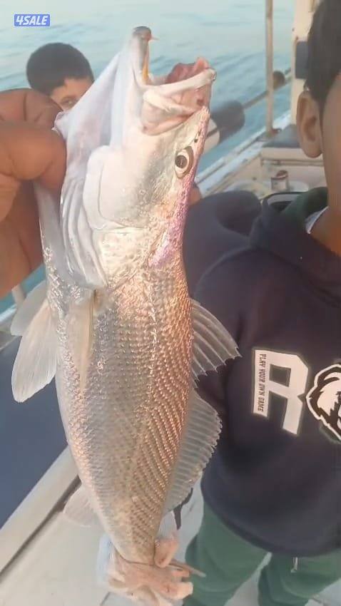 ايجار قوارب صيد حداق ايجار قارب رحلات بحرية4