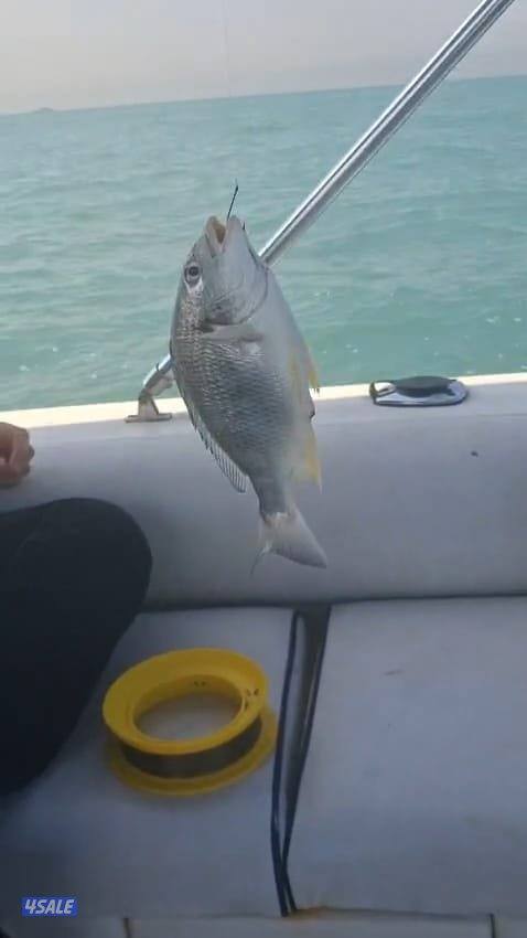 ايجار قوارب صيد حداق ايجار قارب رحلات بحرية6