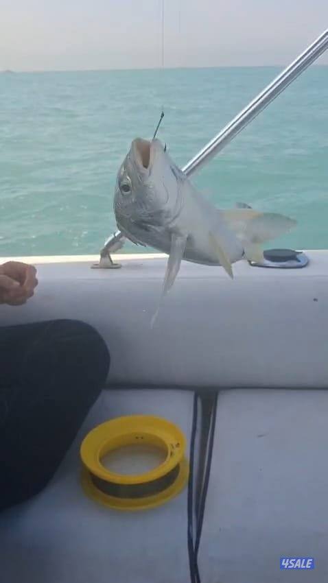 ايجار قوارب صيد حداق ايجار قارب رحلات بحرية7