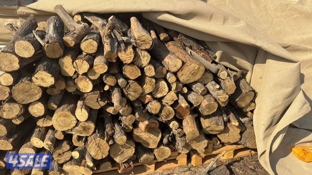 للبيع حطب صفصاف وكين كابرس شرط ناشف وشبوبه طيب حمولات عربانه ودنه0