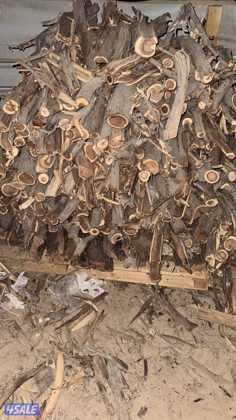 للبيع حطب صفصاف وكين كابرس شرط ناشف وشبوبه طيب حمولات عربانه ودنه1