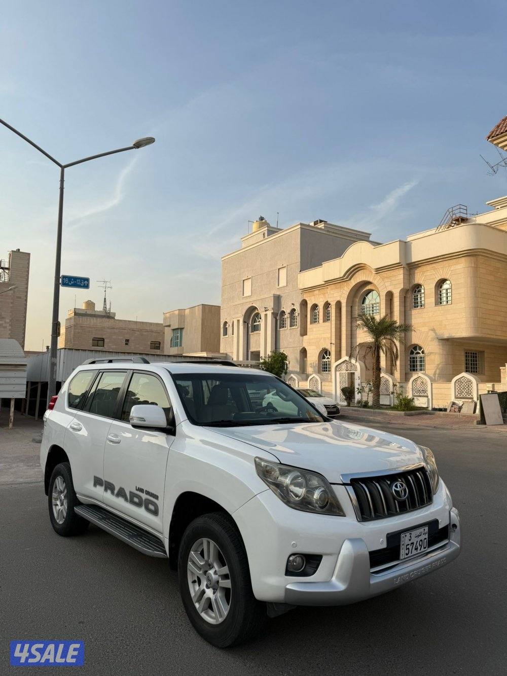 VX 2010 صبغ وكالة0