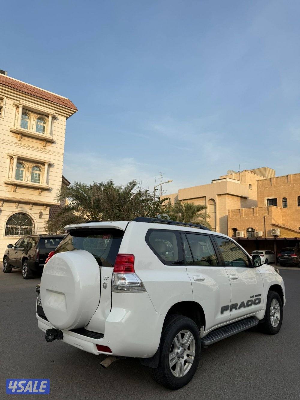 VX 2010 صبغ وكالة2