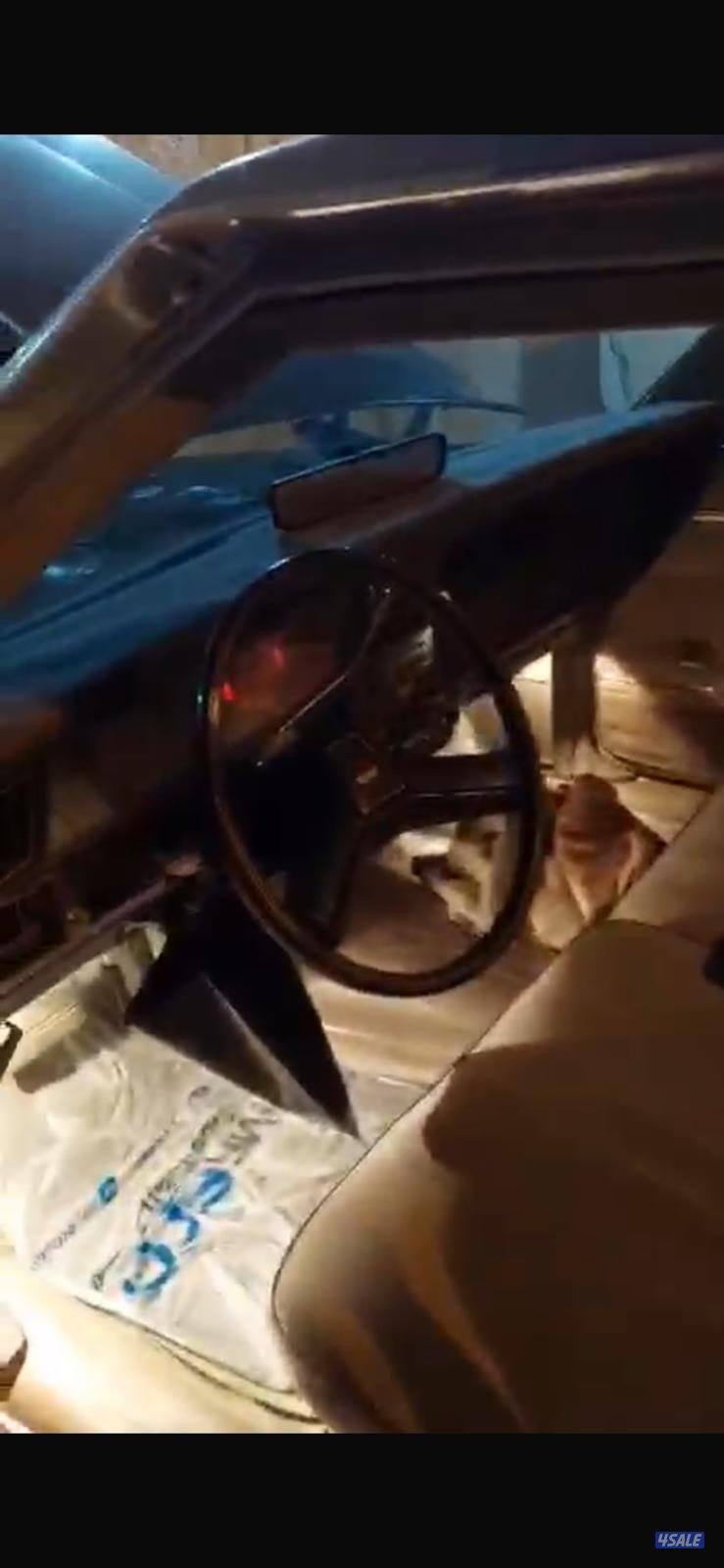 شفر كابرس للبيع1