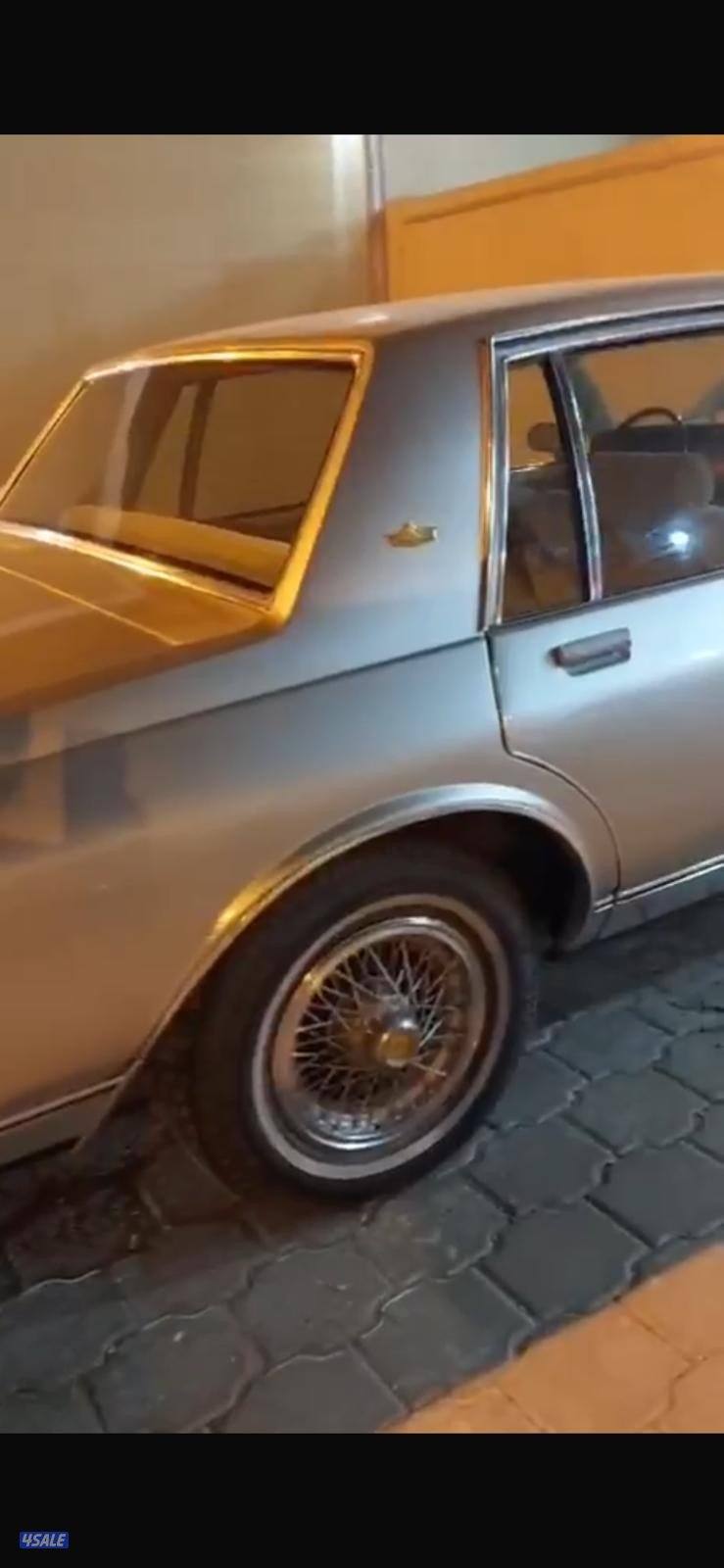 شفر كابرس للبيع0