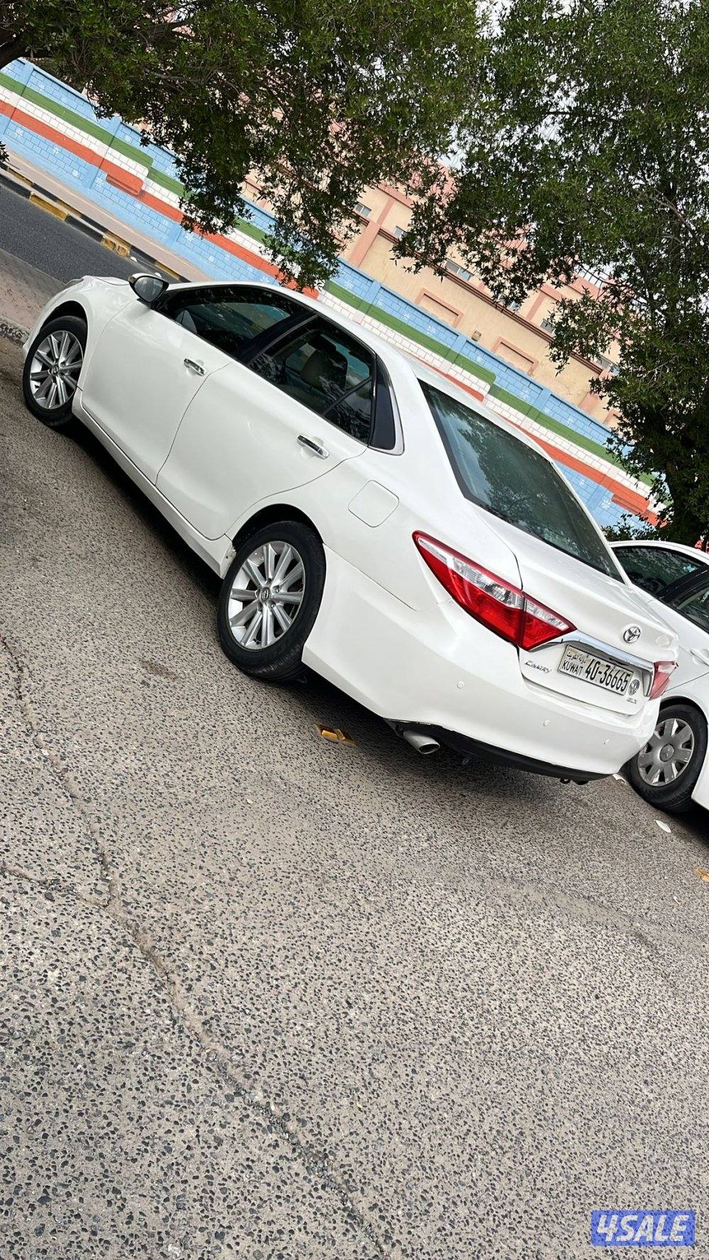 الفنطاس قطعة ١0