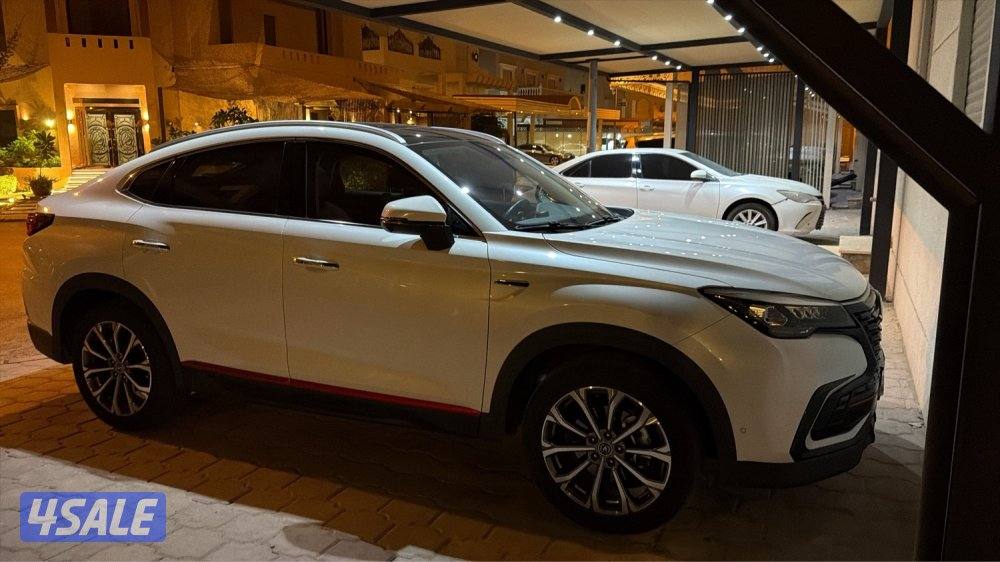 للبيع cs85 صبغ وكالة2