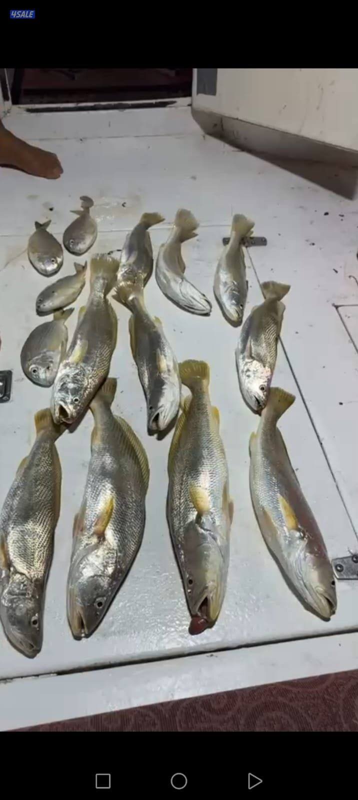 ايجار قوارب صيد حداق ايجار قارب رحلات بحرية14