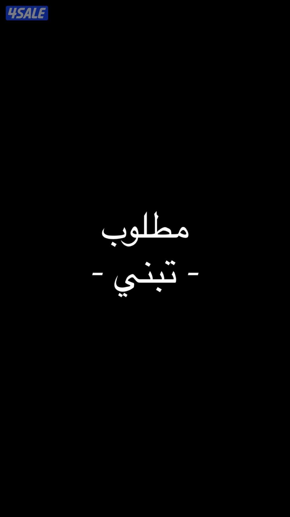 مطلوب قط للتبني0