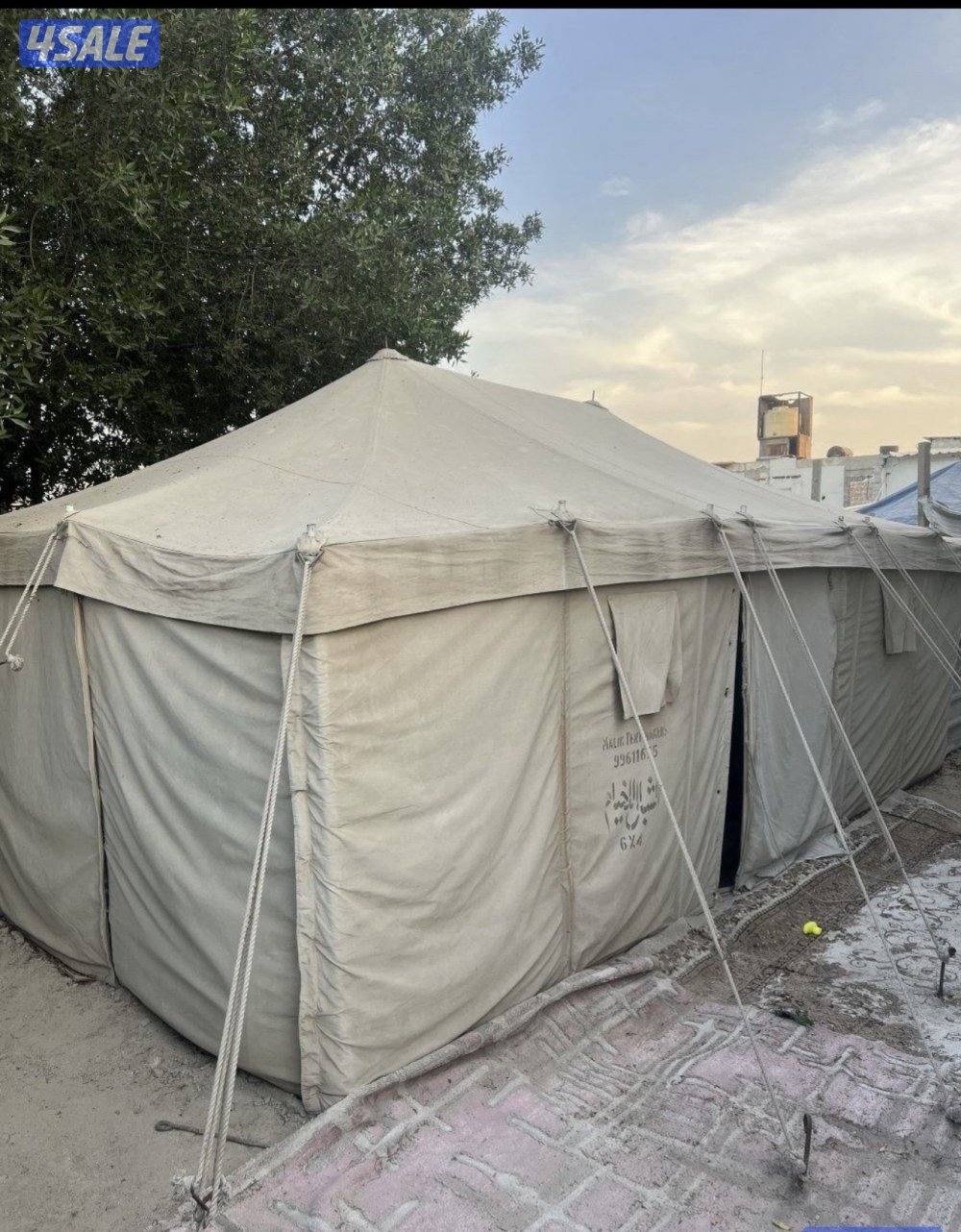 للبيع خيمة الشبل 6/41