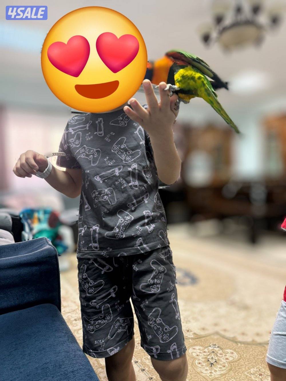 للبيع لوري ربوه2