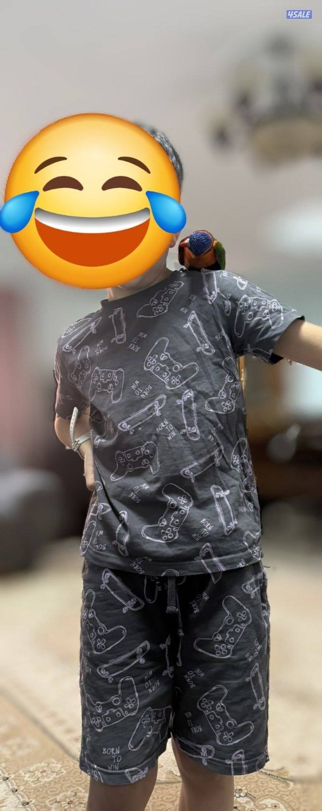 للبيع لوري ربوه3