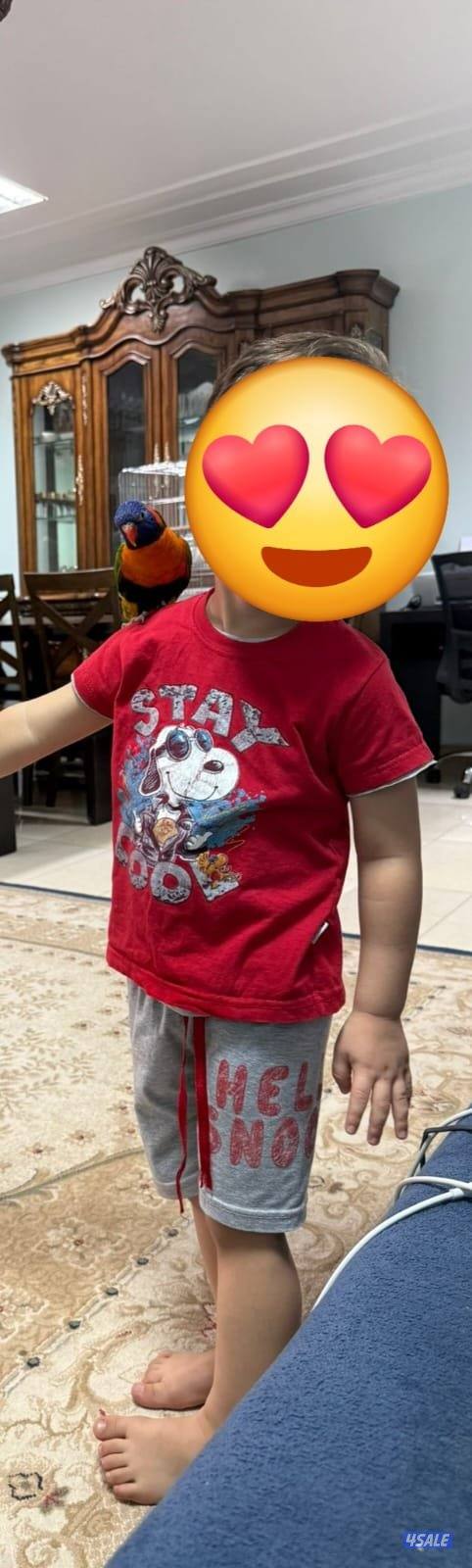 للبيع لوري ربوه4