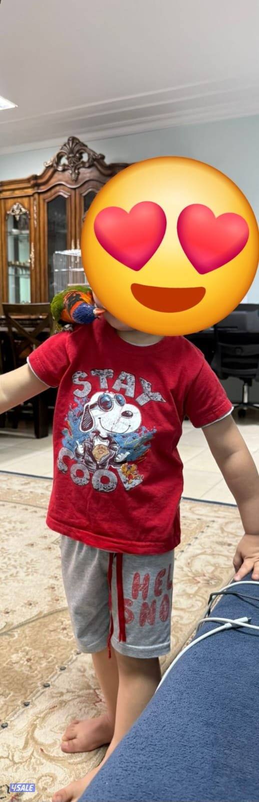 للبيع لوري ربوه5