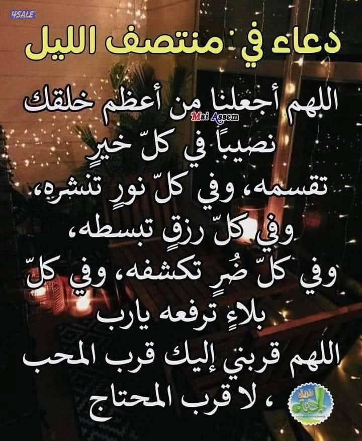 مطلوب شريك0