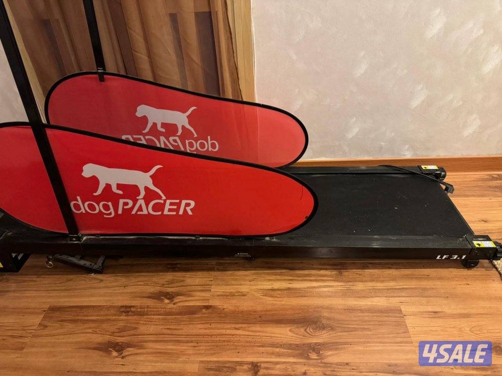 للبيع دراجه كلاب3