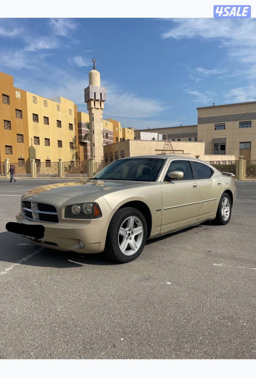 للبيع للبيع للبيع13