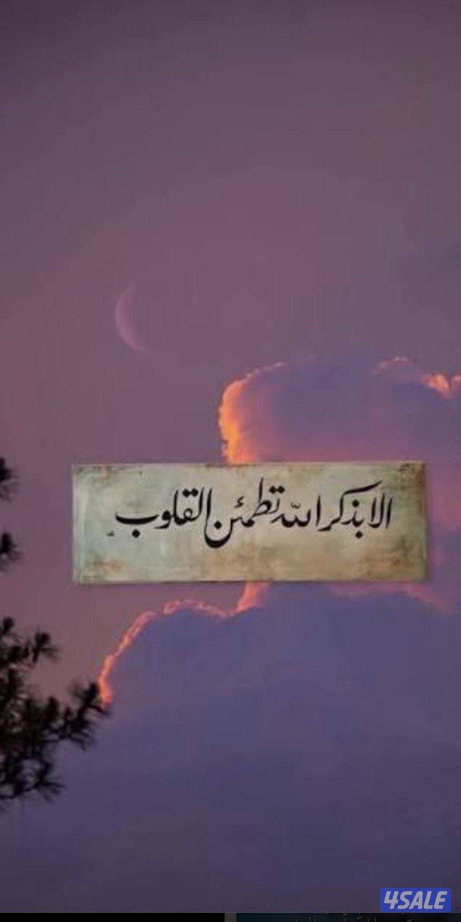 للبيع رخصة + بضاعة + قاعدة عملاء0