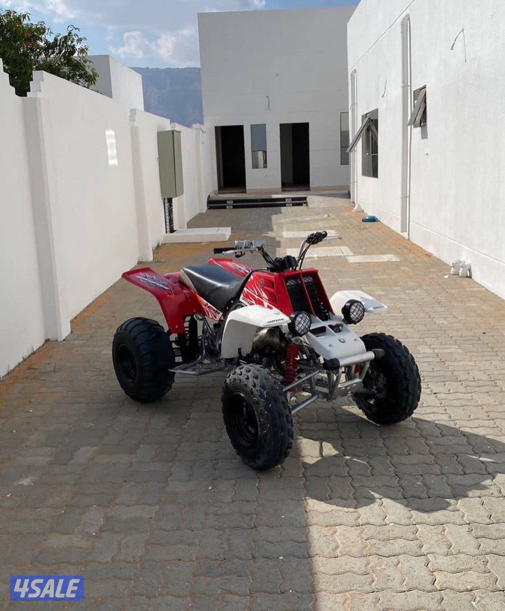 مطلوب بانشي0