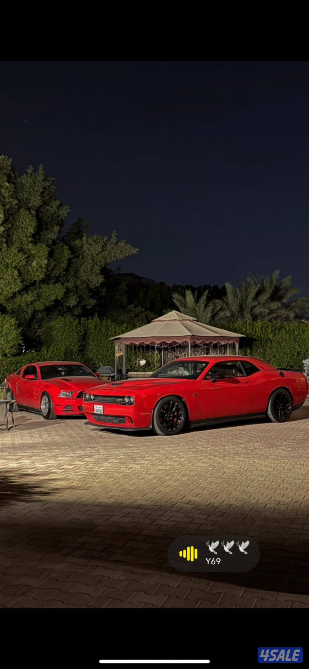 هلكات ٢٠١٥3