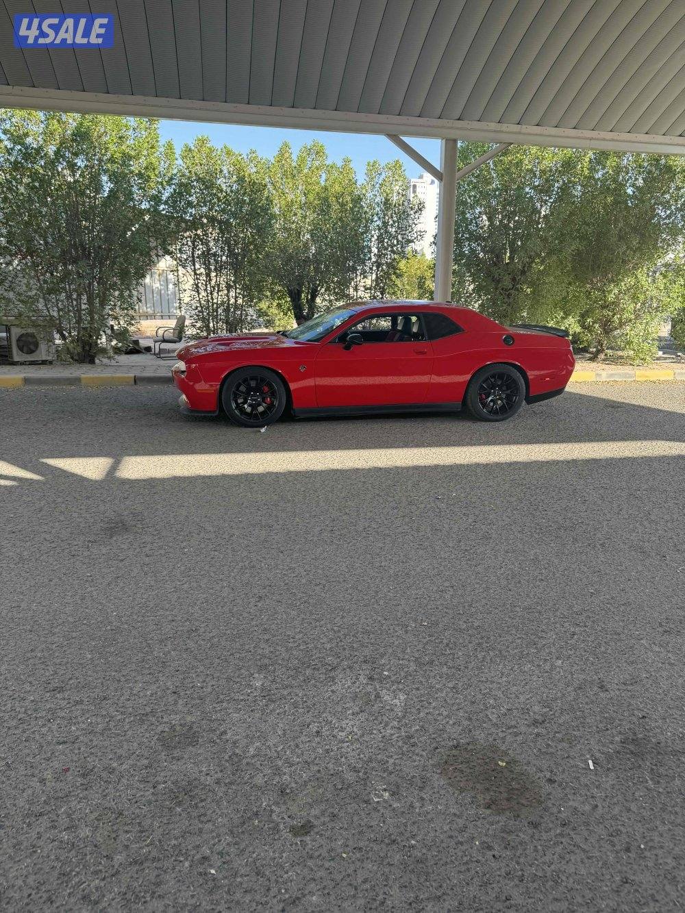 هلكات ٢٠١٥5