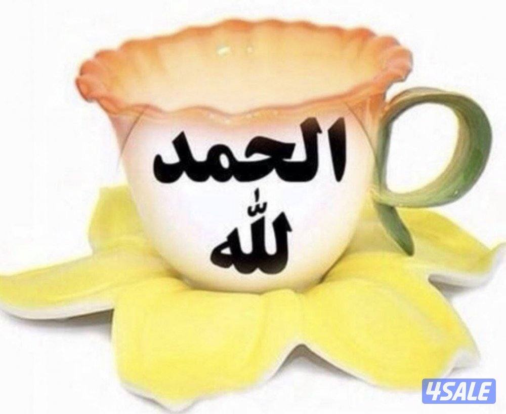 ابحث عن شغل حارس عقارات او حارس بناتيه او حارس مخيم او حارس شاليها0