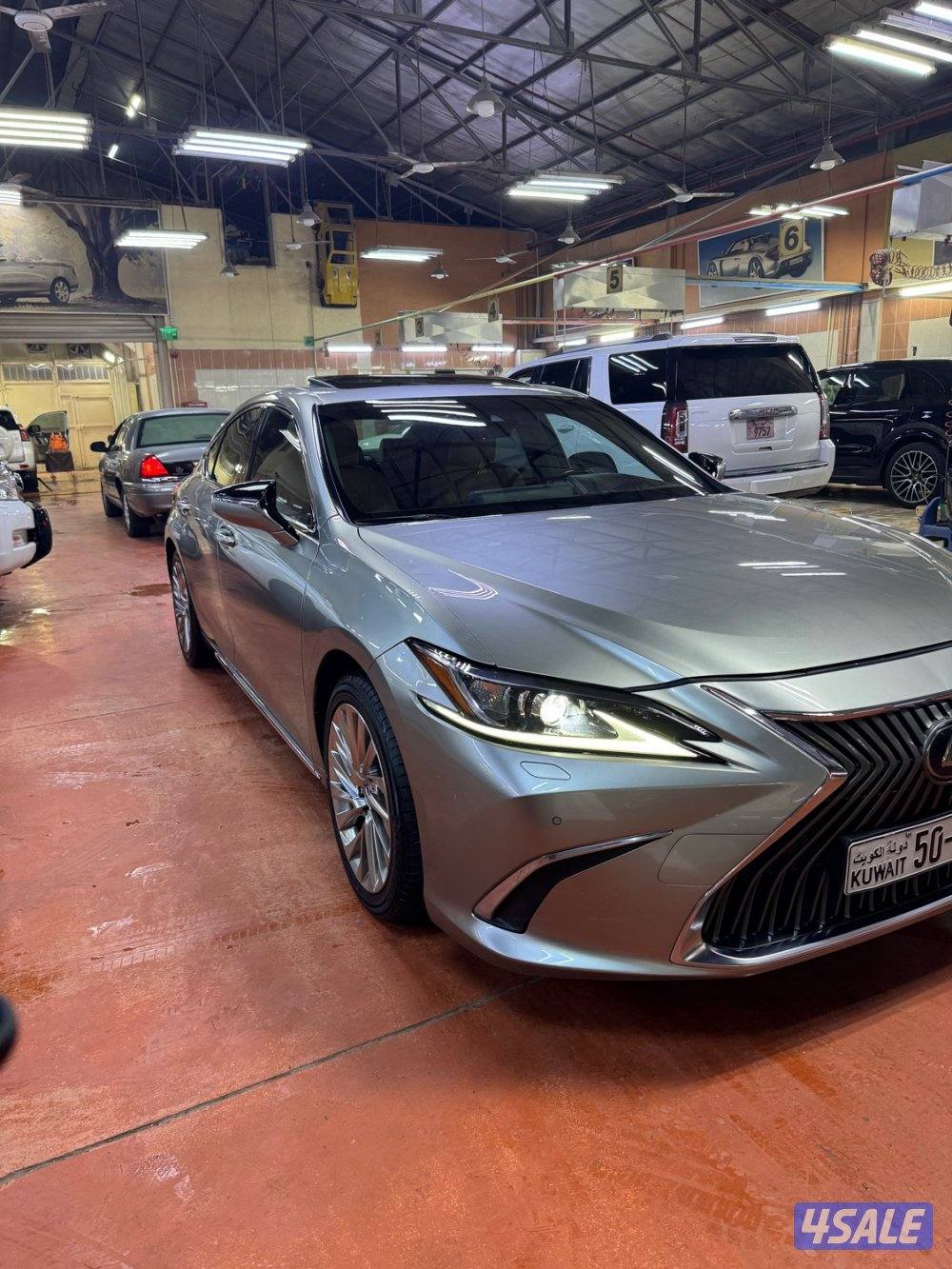 ES350 صبغ الوكالة الساير4