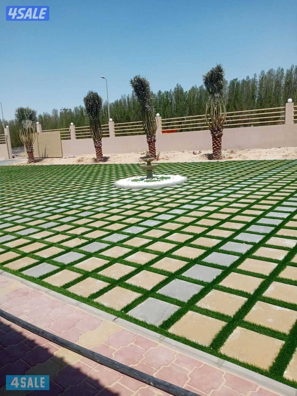 تنسيق الحدائق2