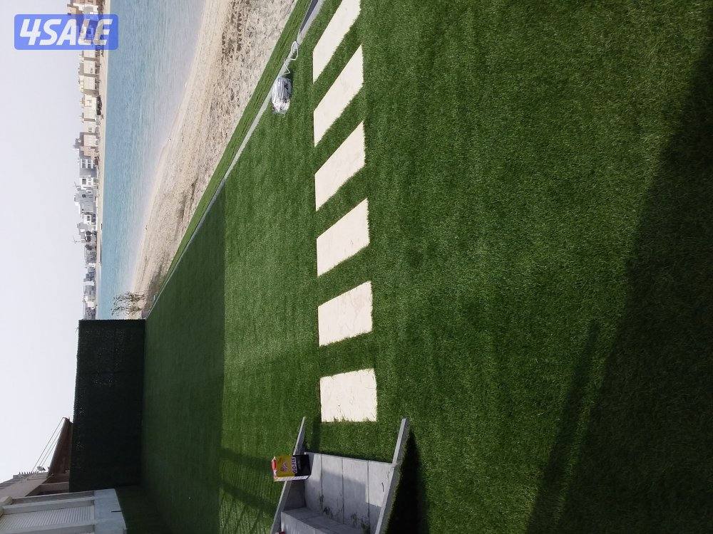 تنسيق الحدائق8