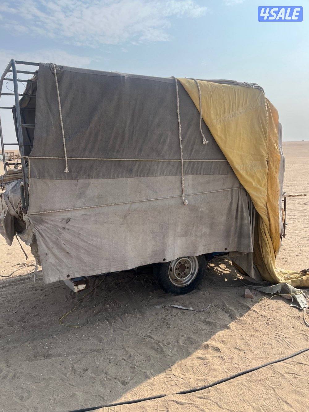 عربانات  للبيع2