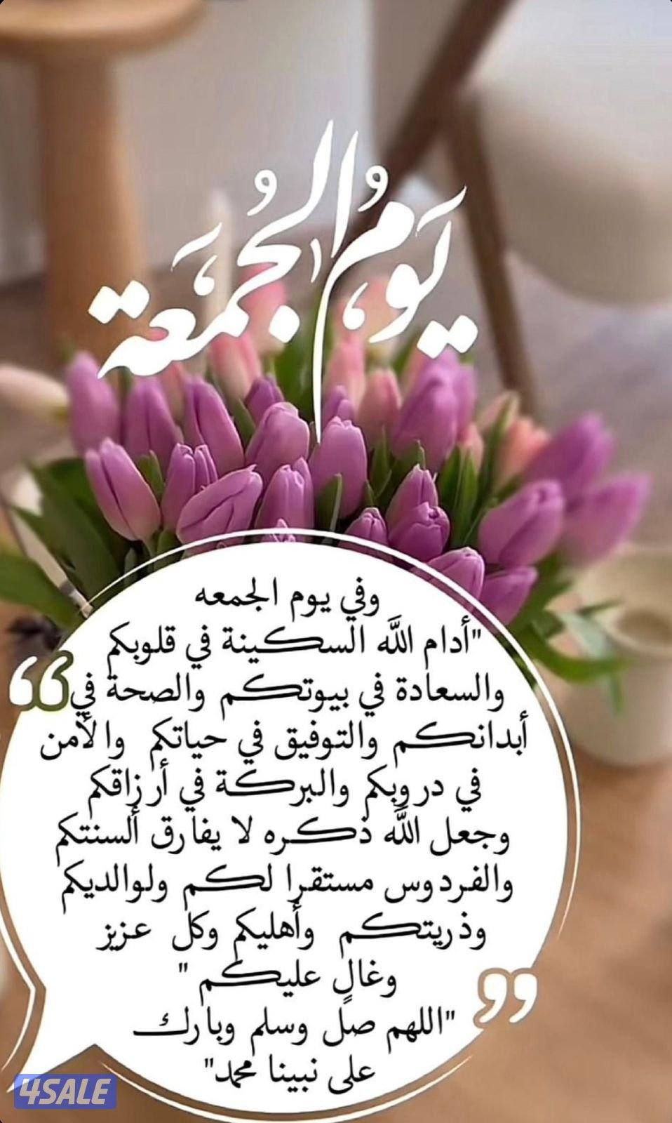 مدرس تجويد ومحفظ قرآن كريم في وقت قياسي2