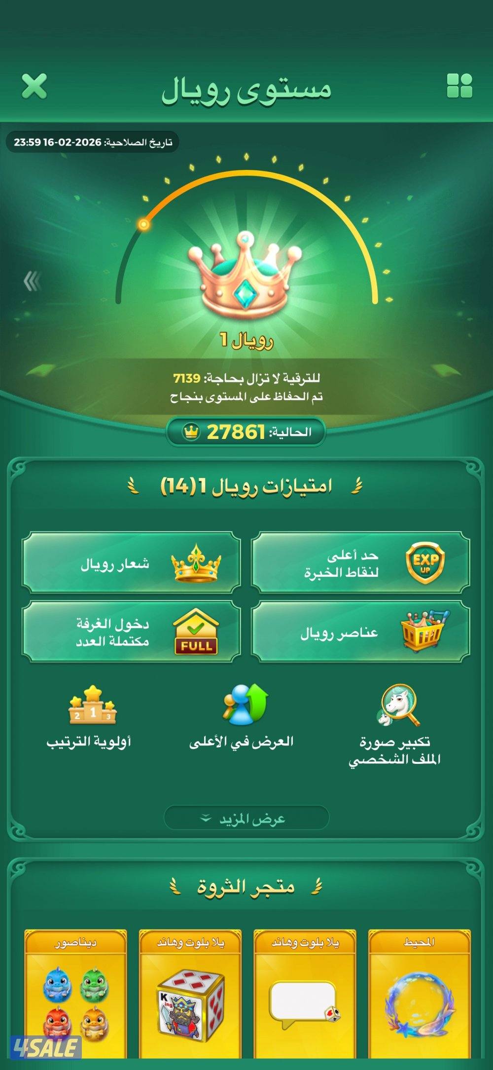 حساب لودو رويل 16