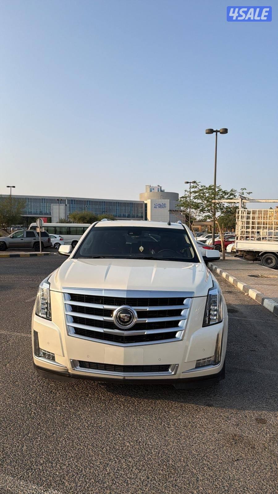 للبيع اسكلد صبغ وكاله0