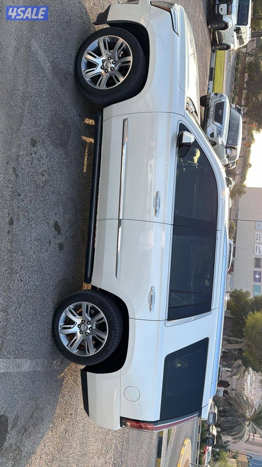 للبيع اسكلد صبغ وكاله2