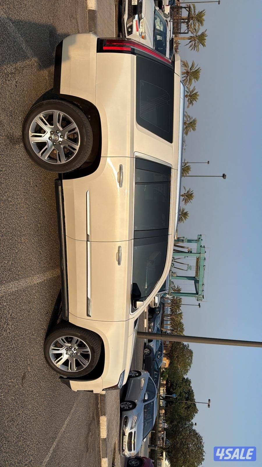 للبيع اسكلد صبغ وكاله3