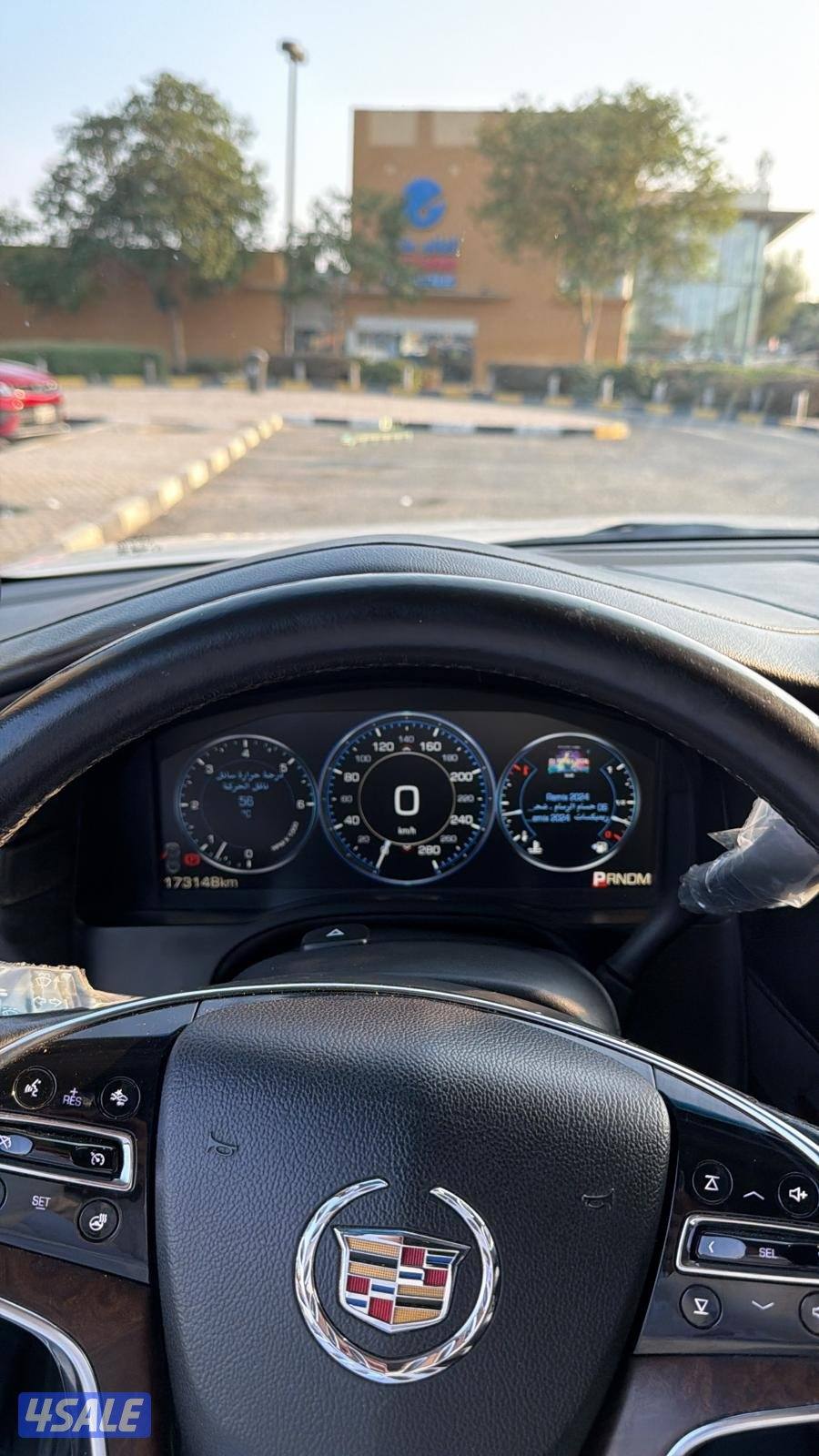 للبيع اسكلد صبغ وكاله5