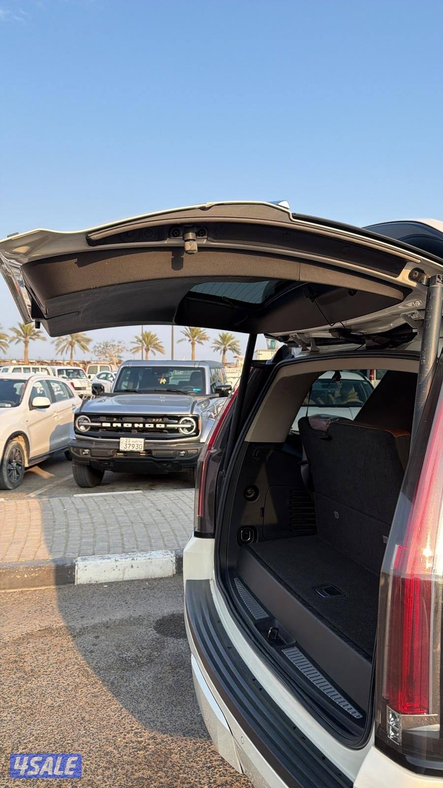 للبيع اسكلد صبغ وكاله6