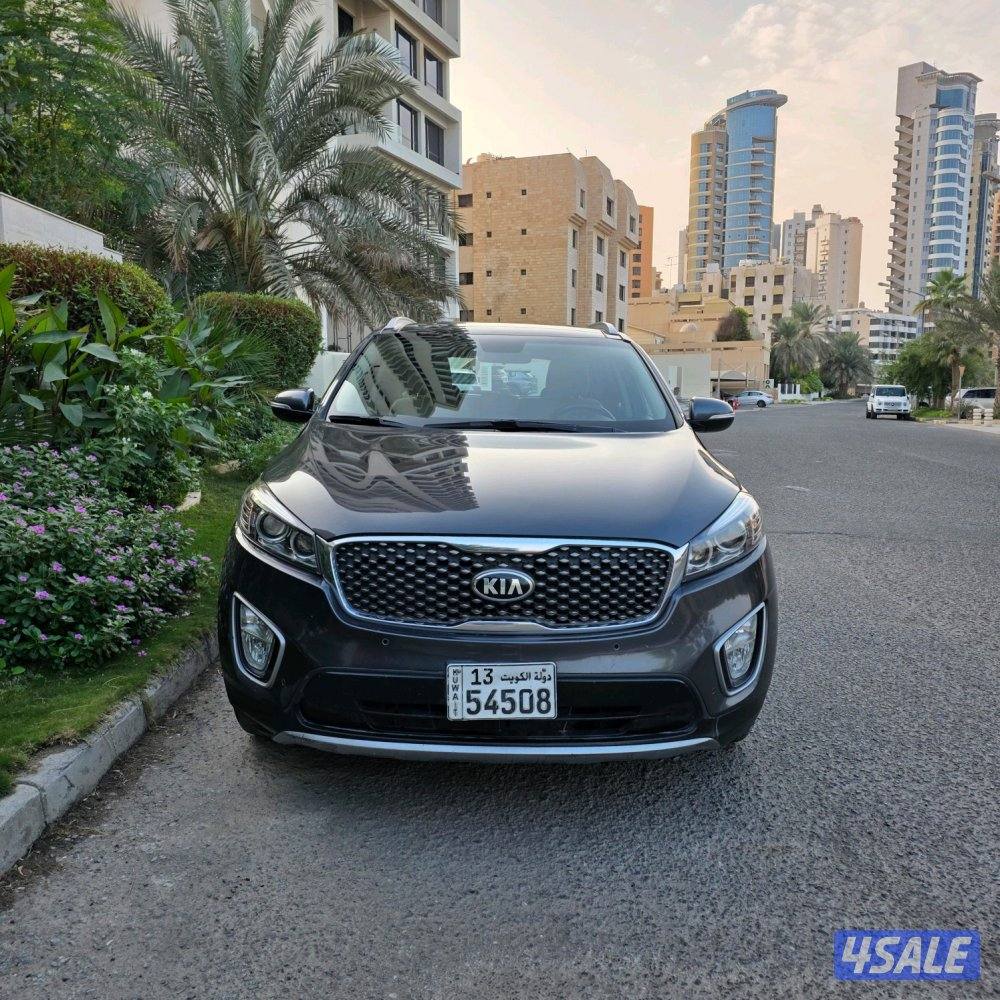 صبغ وكالة عداد ١٥٠ فقط1