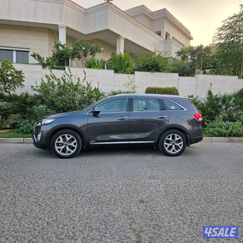 صبغ وكالة عداد ١٥٠ فقط2