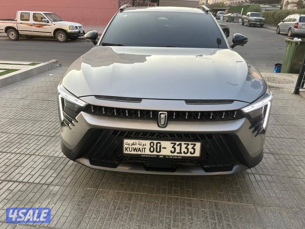 بيستون 2024 بانوراما عداد 42 تحت الكفالة سيرفس وكالة شرط الفحص4